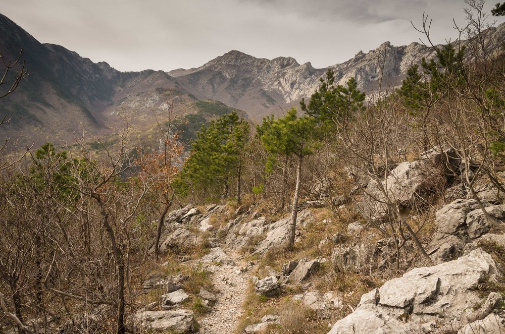 Leaving the plateau through the woods on a day with unobstructed views of the Velebit mountains.